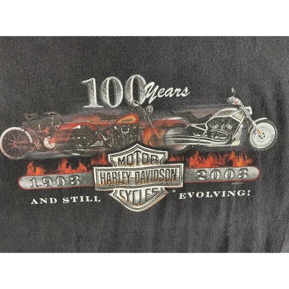 Harley Davidson Genuine Motorcycle 100 Years Logo Michigan City T-Shirt - Size L - Picture 3 of 9